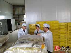 冷水灘區(qū)開展食品生產(chǎn)企業(yè)安全風(fēng)險隱患大排查 嚴(yán)守食品安全底線